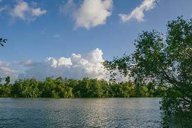 西安夜生活本地论坛(西安夜生活微信多少)